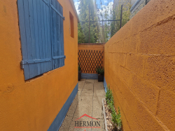 photo15