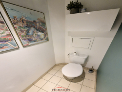 photo8
