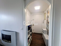 salon-