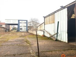 photo5