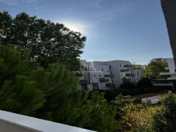 photo2