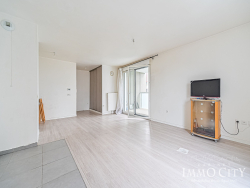 photo6