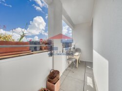 photo15