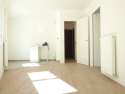 photo4