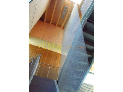 photo4