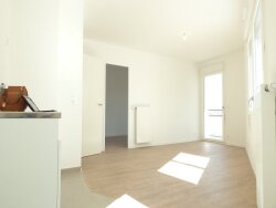 photo6