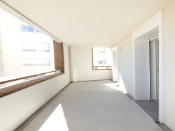 photo7