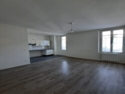 sejour-avec-coin-cuisine