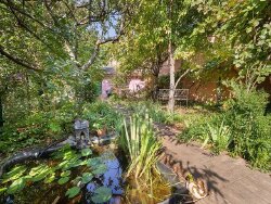 vue-depuis-la-moitie-du-jardin