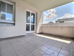 photo7