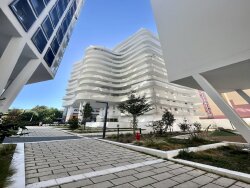 photo11