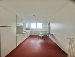 photo11