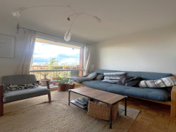photo11