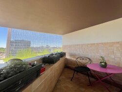 photo12