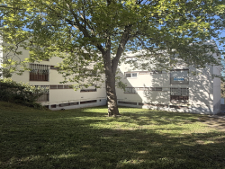 photo13