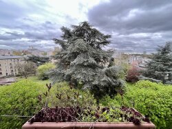 photo1