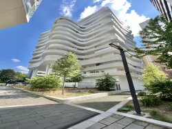 photo6