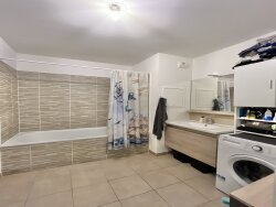photo7