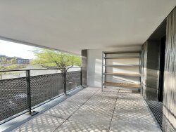 photo8