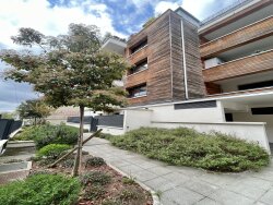 photo8