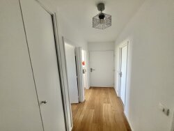 photo8