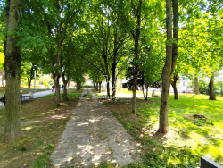 photo9