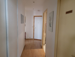 photo6