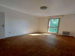photo8