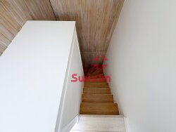 photo16