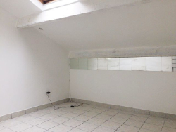 photo7