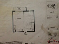 photo11