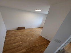 photo6