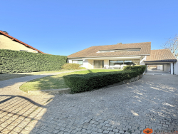 photo16