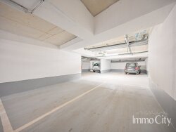 photo6