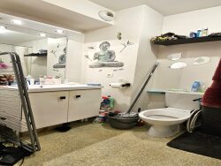 salle-d-eau-avec-wc
