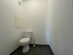 photo7