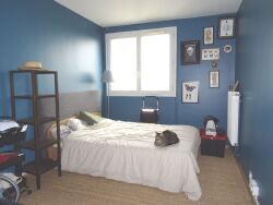 photo6