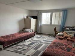 photo8