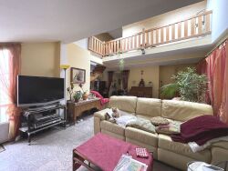 photo11