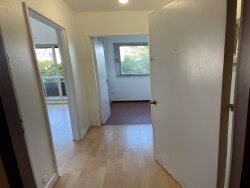 photo16