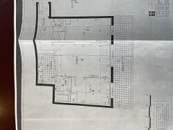 photo2