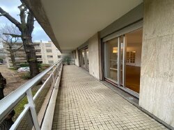 photo31