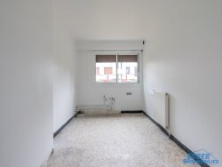 photo7