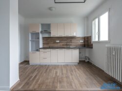 photo8
