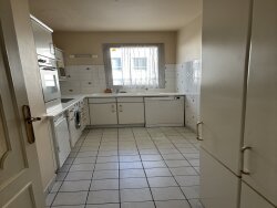 photo8