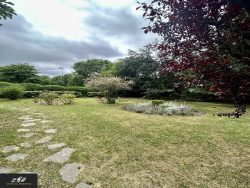 photo14
