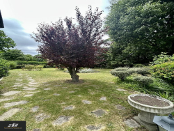 photo15
