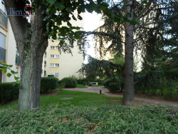 photo3