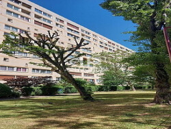 balcon-vue-sur-parc