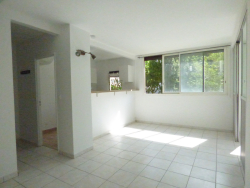 photo4